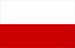Polska - Mundial 2010