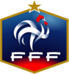 Francja - Mundial 2010