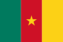 Kamerun - Mundial 2010